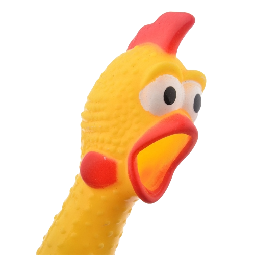 CHICKA LATE NEWS